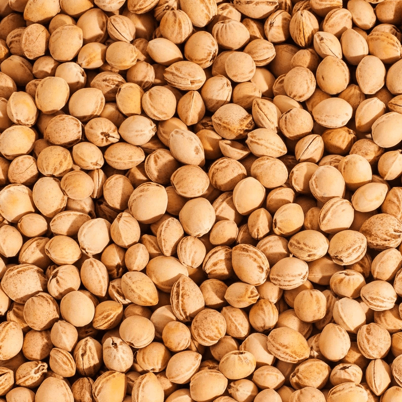 Werkmeister: Kryotherm natur Kirschkernkissen ca. 55x20 cm - Vital Sanitätshaus